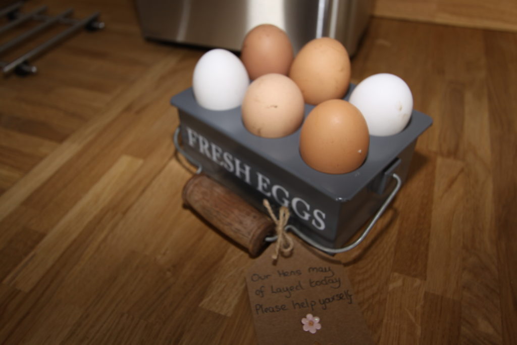 Suffolk Hut fresh eggs